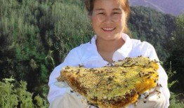 海丰爆料最新新闻事件,聚焦重大新闻事件背后的真相